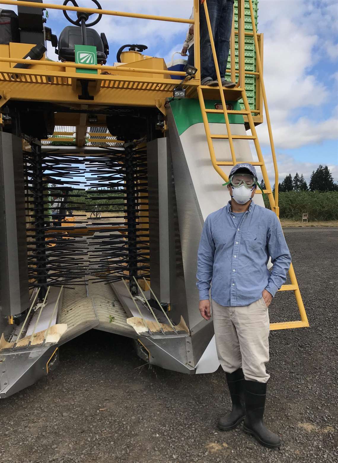 Blueberry harvester