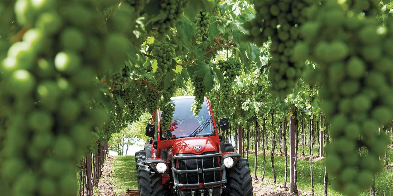 Antonio Carraro to hold world premiere of new orchard tractor at EIMA 2026