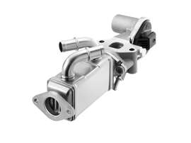 Gasoline powertrain EGR module