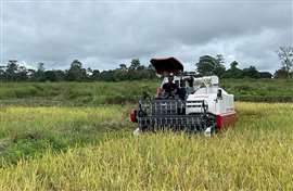 Farming operations in the Republic of Côte d'Ivoire.